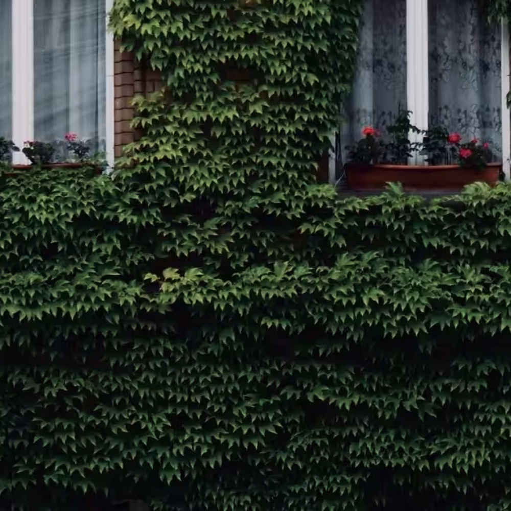 header-verde-urbano-1200x630